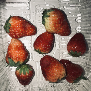 成人🔞高潮片免费动漫
